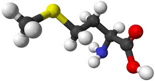 Organic Chemistry I - 10 Sessions